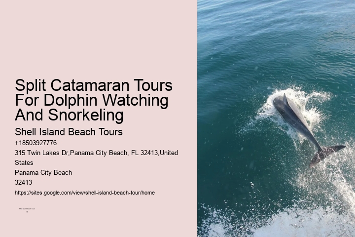 What Predator Kills Dolphins