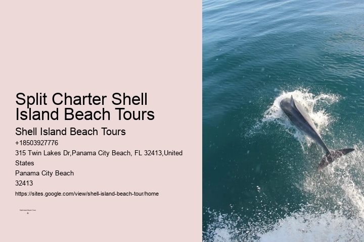 Dolphin Boat Cruises in Panama City Beach