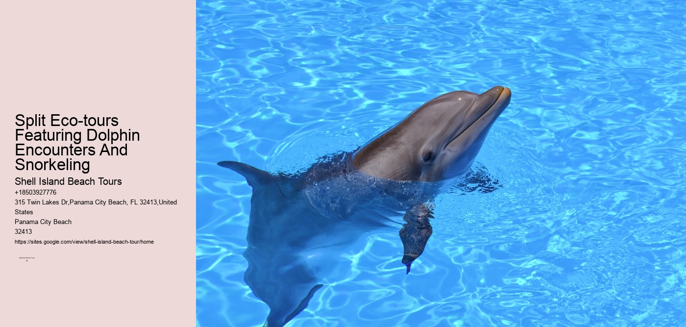 Split Eco-tours Featuring Dolphin Encounters And Snorkeling