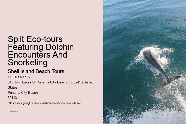 Split Bespoke Snorkeling And Dolphin Itineraries