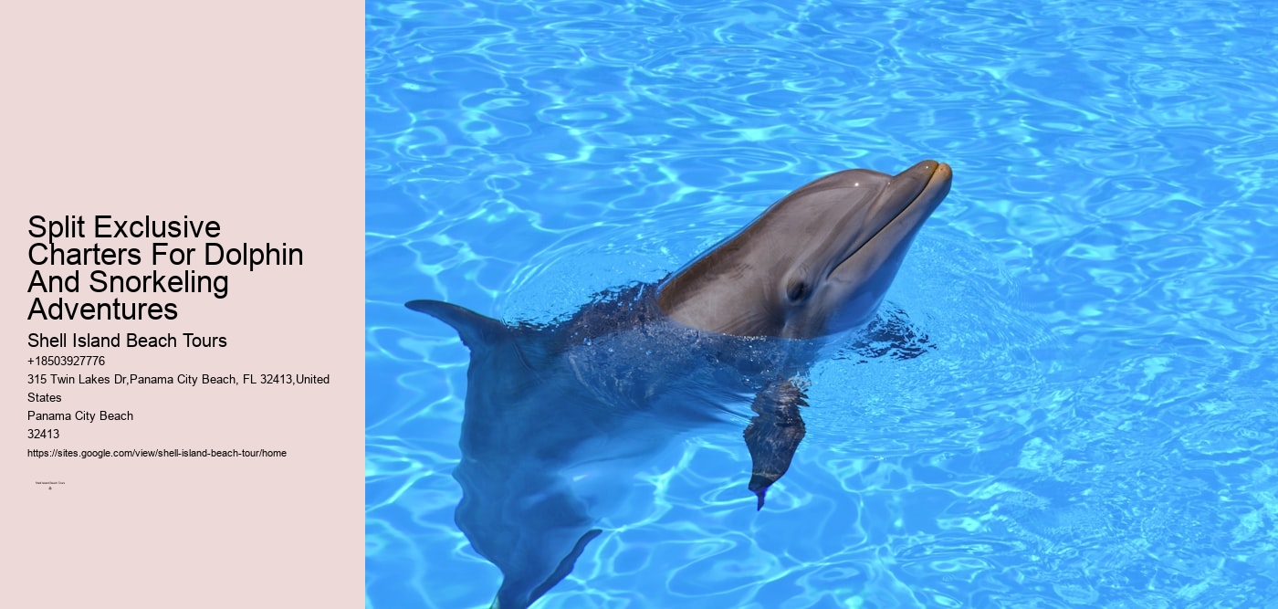 Split Exclusive Charters For Dolphin And Snorkeling Adventures