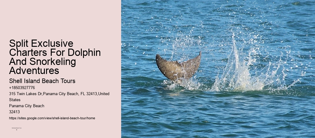 Do Dolphins Use 100% Of Their Brain