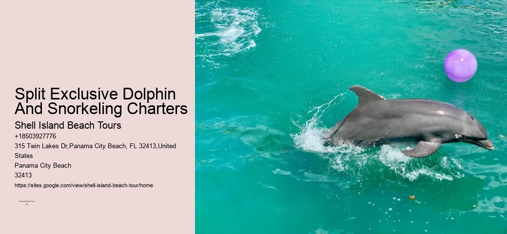 Panama City Beach Dolphin Sunset Cruise
