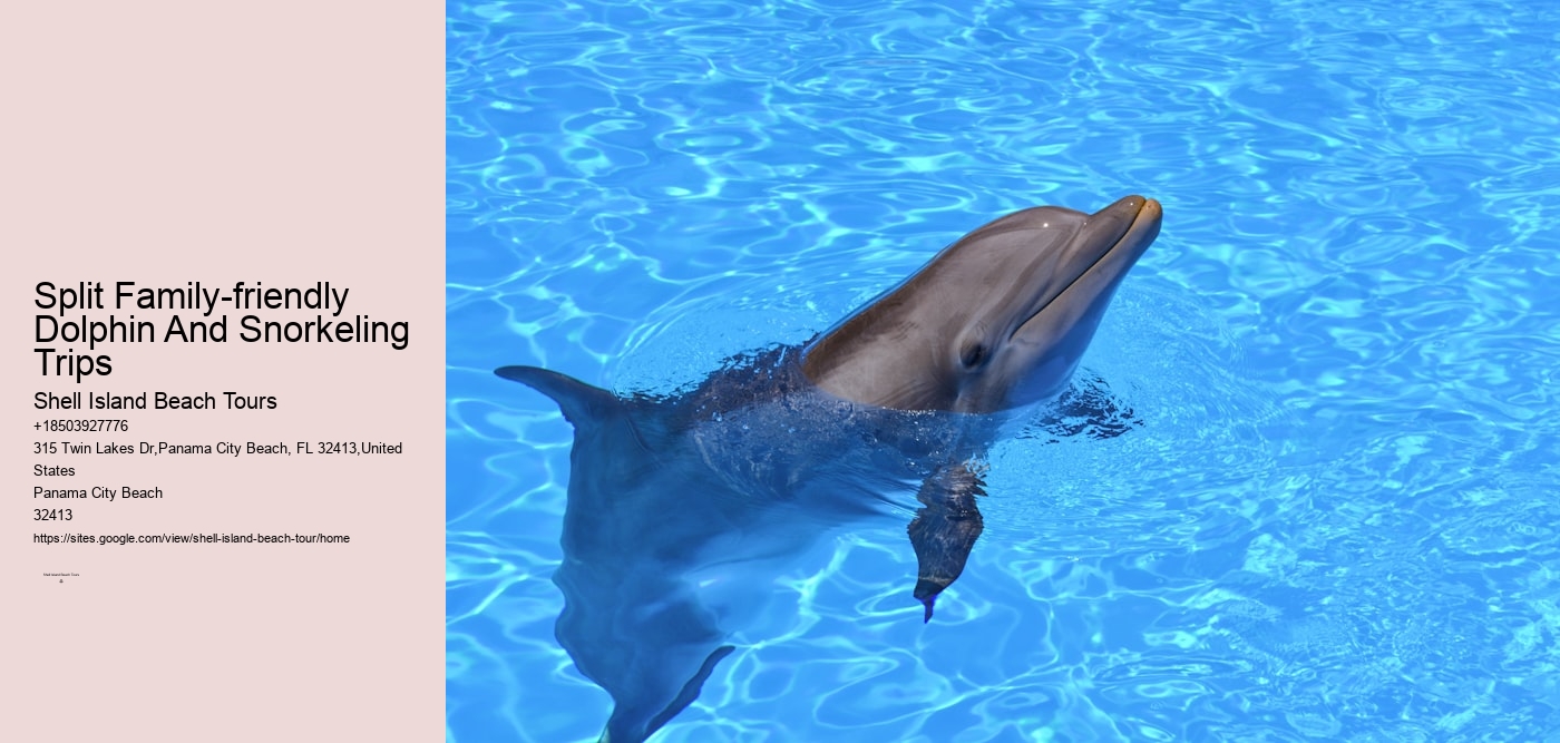 Split Family-friendly Dolphin And Snorkeling Trips
