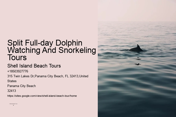 Panama City Beach dolphin expedition cruises