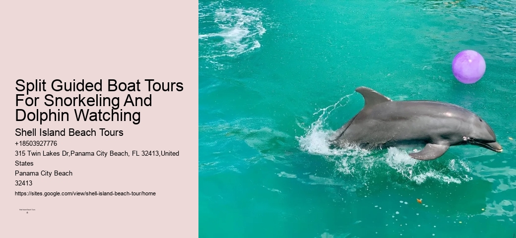 Split Budget-friendly Dolphin Snorkeling Excursions