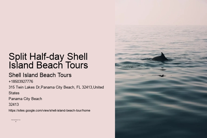 Exclusive Dolphin Expedition and Snorkeling
