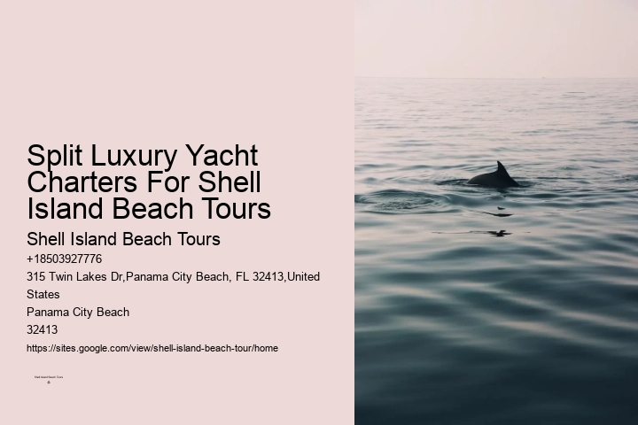 Deluxe Dolphin Swim and Snorkeling Trips