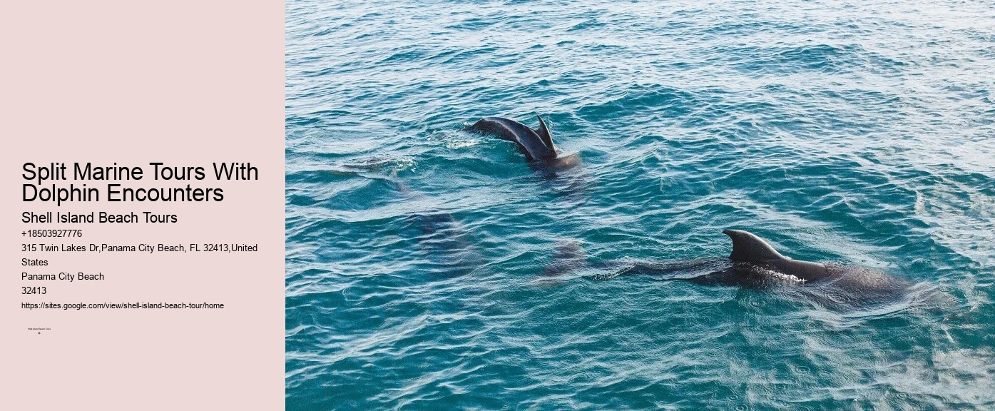 Panama City Beach dolphin cruise