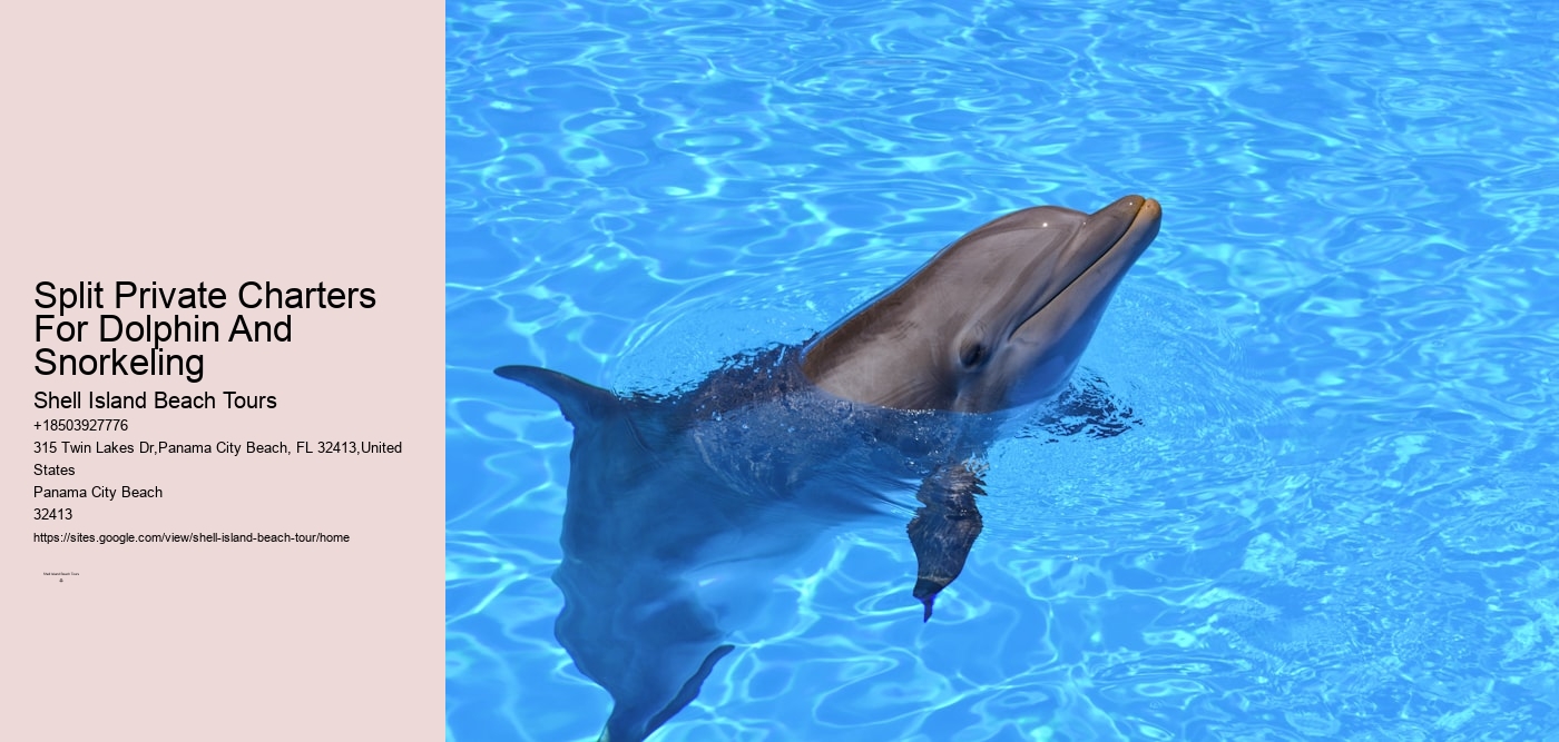 Split Private Charters For Dolphin And Snorkeling