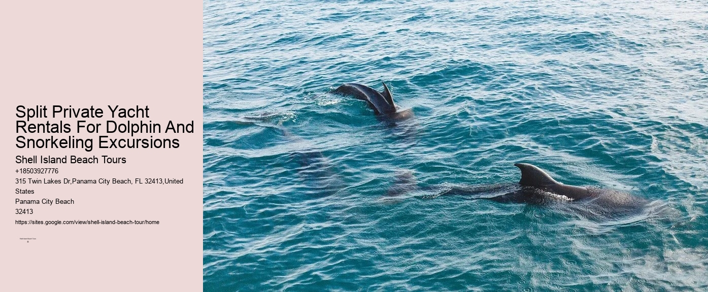 How much does a dolphin tour in Panama City Beach cost
