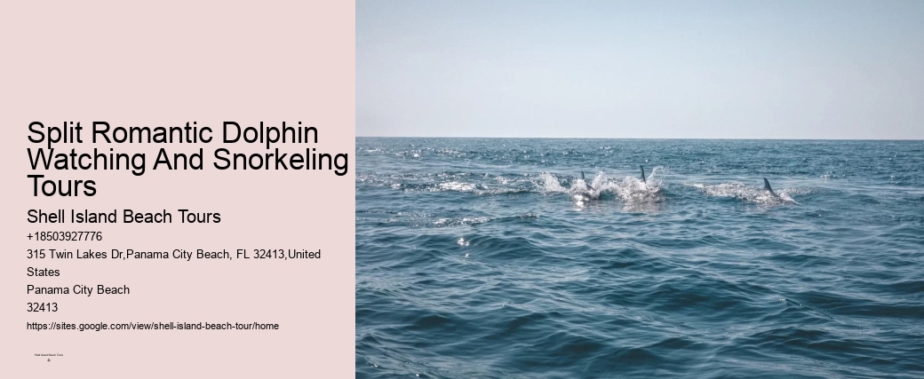 Split Luxury Snorkeling And Dolphin Charters