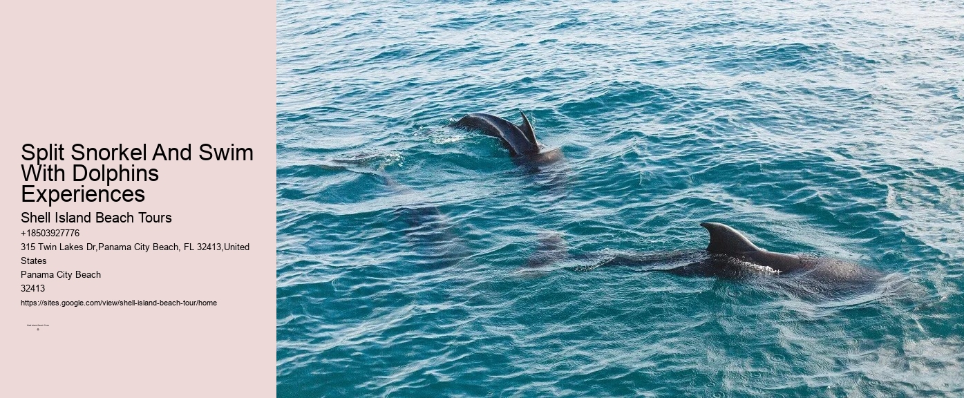 Panama City Beach dolphin discovery cruises