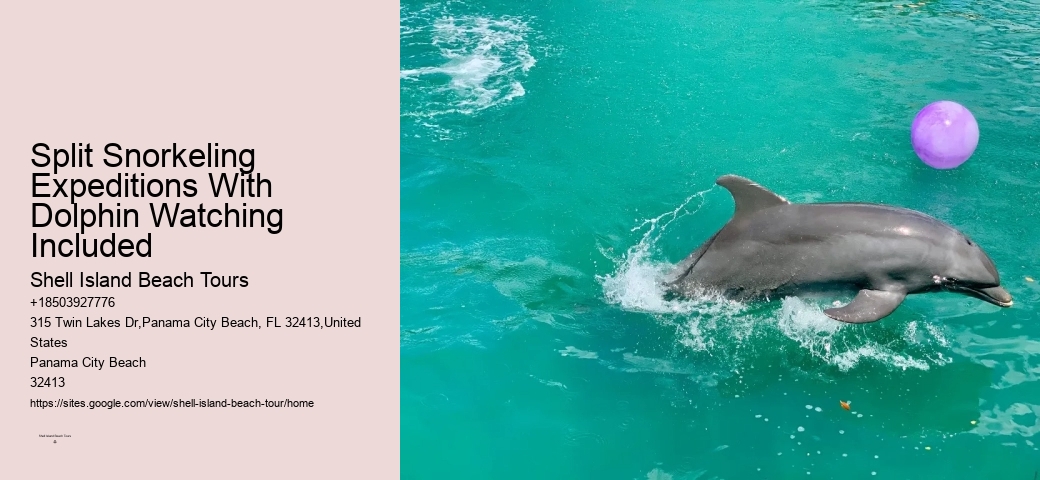 Secluded Dolphin Spotting with Snorkeling