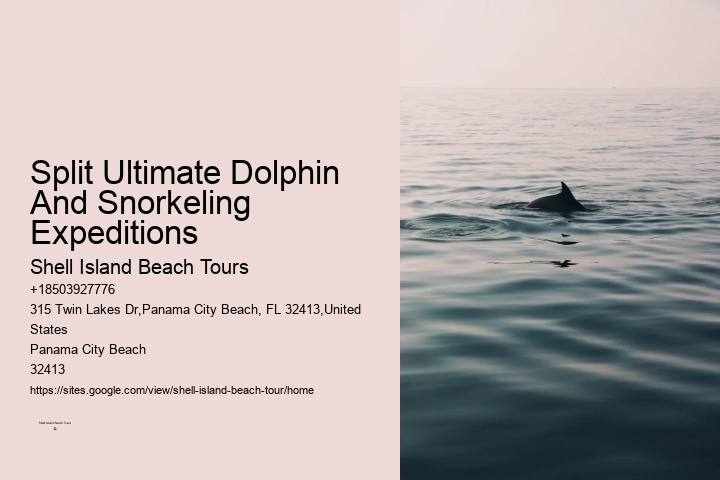 How Much Does Dolphin Cove Cost