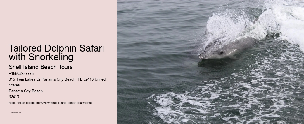 Why Is It Illegal To Interact With Dolphins