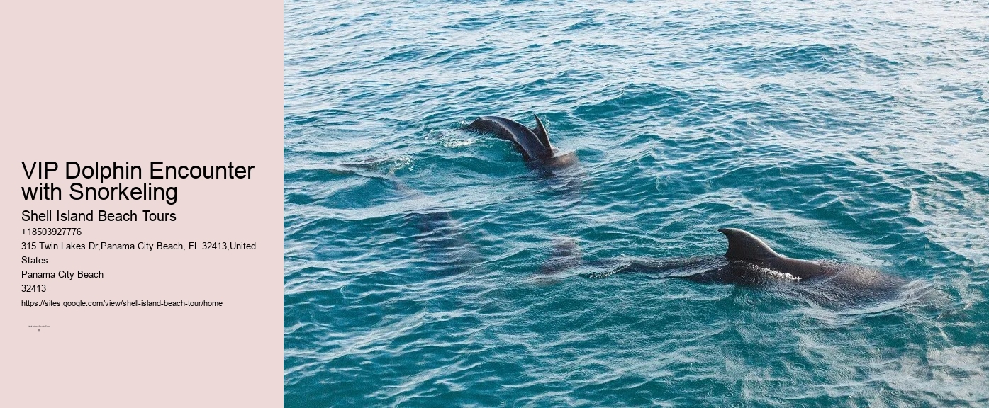 Panama City Beach dolphin excursions