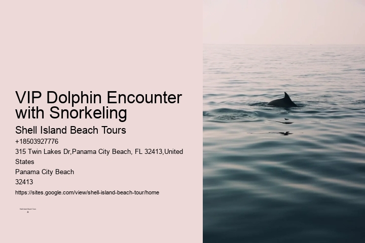 Custom Dolphin Spotting with Snorkeling