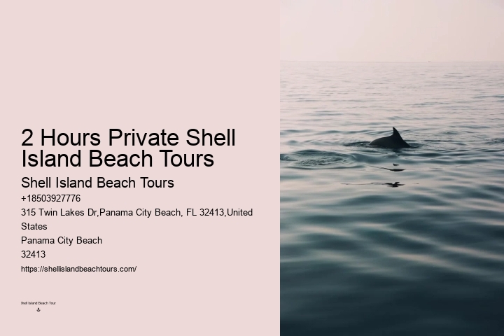 Do Dolphins Use Scent