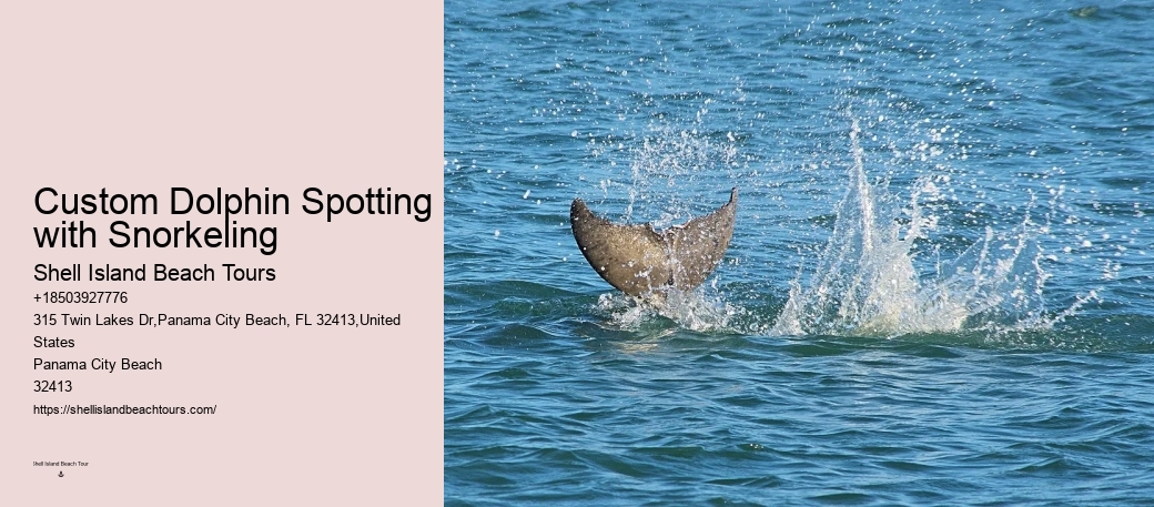 Are Dolphins Actually Happy In Captivity