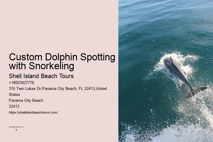 Deluxe Dolphin Safari and Snorkeling Trips