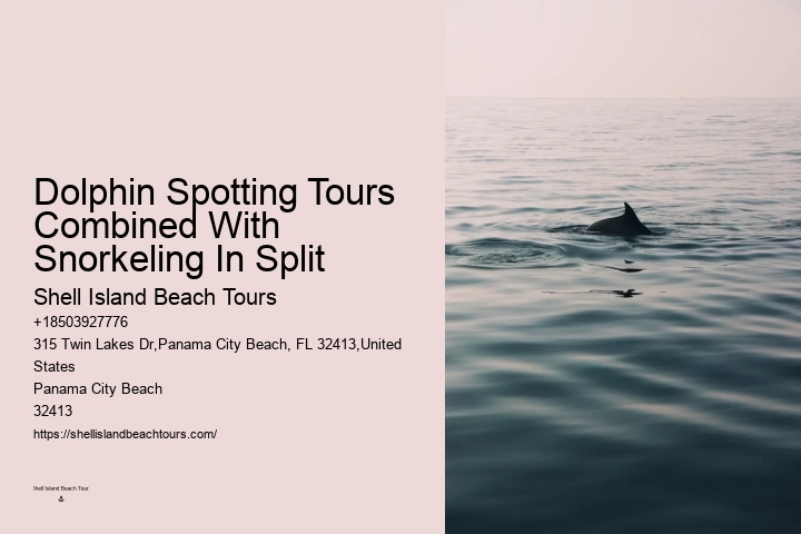 VIP Dolphin Exploration and Snorkeling