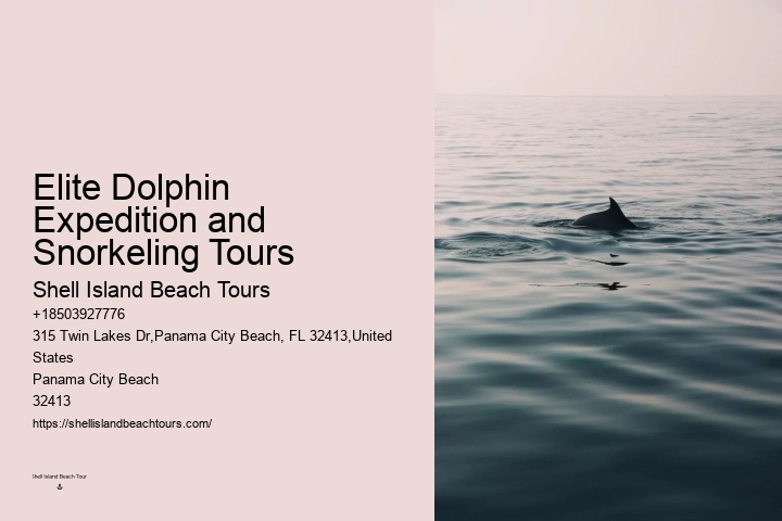 Are Dolphin Tours Safe For Dolphins