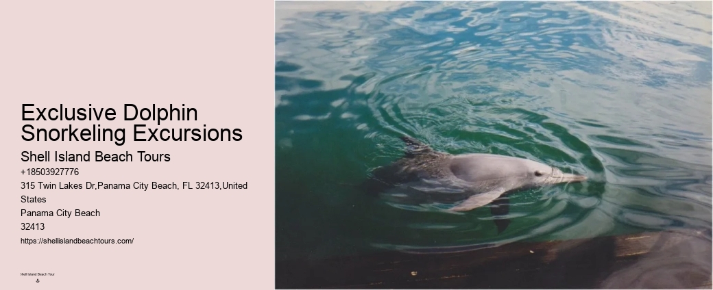 Split Family-friendly Dolphin And Snorkeling Tours