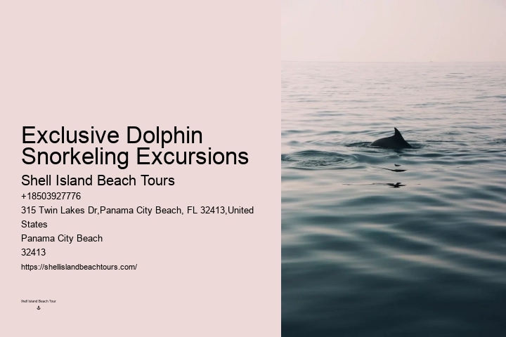 Dolphin spotting tours in Panama City Beach