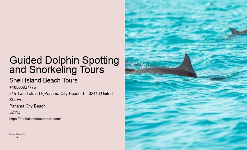Split Dolphin And Snorkeling Eco-adventures
