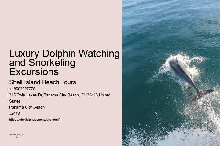 Bespoke Dolphin Spotting and Snorkeling