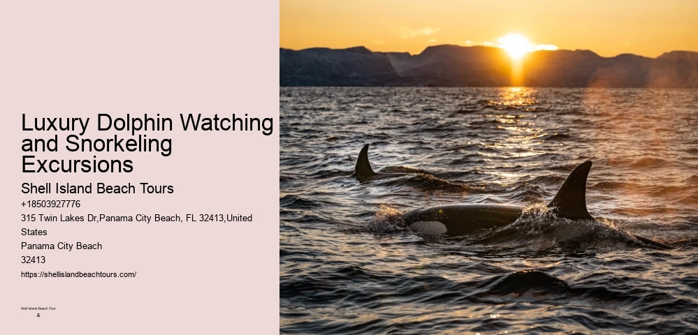 Split Personalized Snorkeling And Dolphin Charters