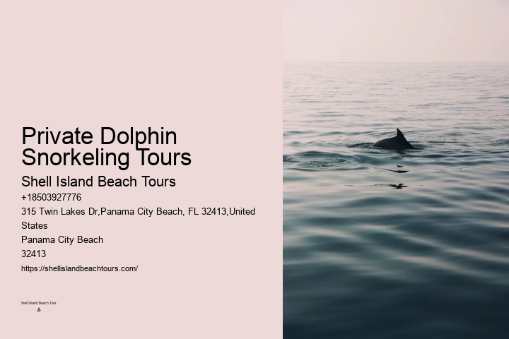 What is the best time of year to go on a dolphin tour in Panama City Beach
