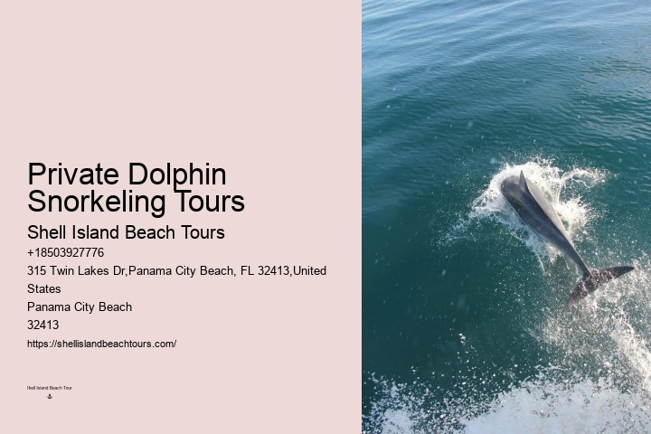 Best Dolphin Tours Panama City Beach