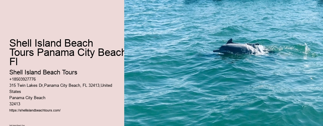 Shell Island Beach Tours Panama City Beach Fl