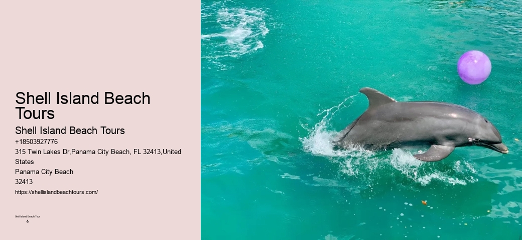 Panama City Beach Dolphin Tours Panama City Beach