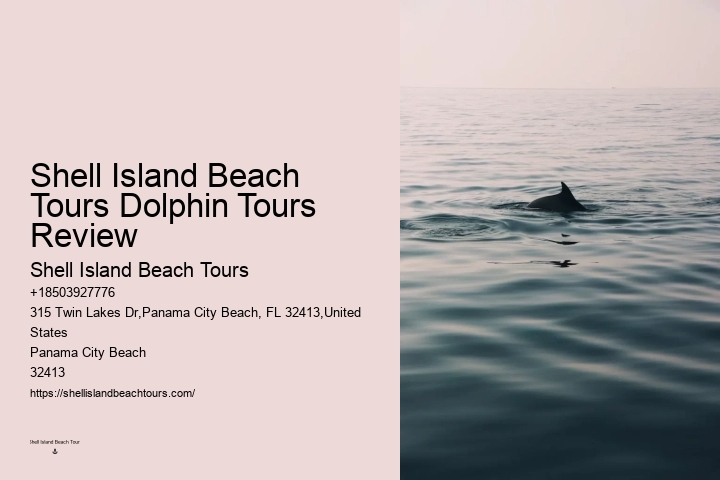 Panama City Beach Swim With Dolphins