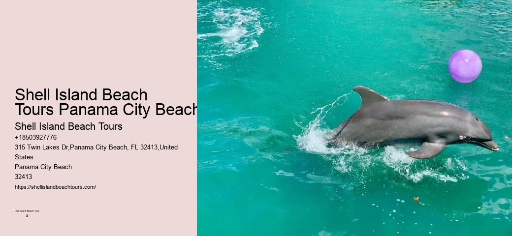 Panama City Beach dolphin boat adventures