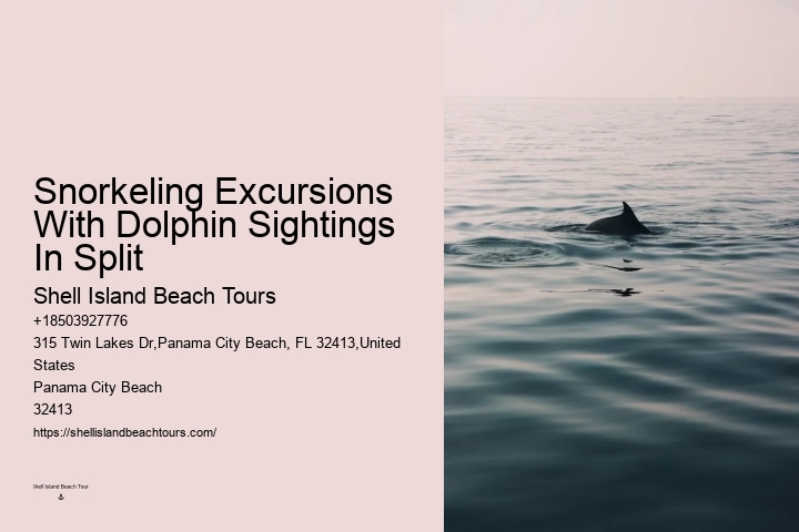 How Much Does It Cost To Swim With Dolphins In Florida