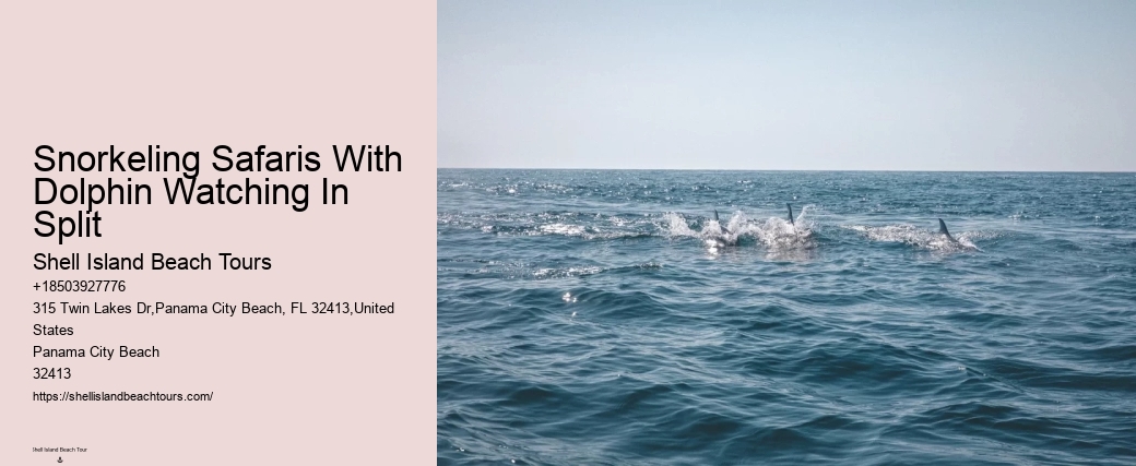 Split Exclusive Dolphin And Snorkeling Experiences