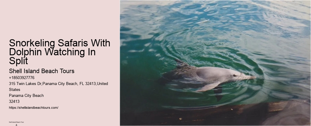 Split Coastal Tours With Dolphin Spotting And Snorkeling
