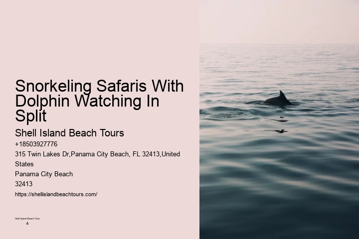 Panama City Beach Sunset Dolphin Cruise