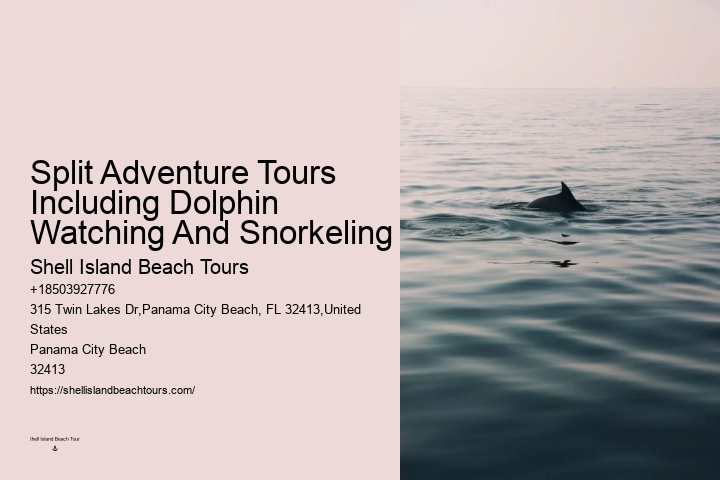 All About Bottlenose Dolphins - Birth & Care Of Young