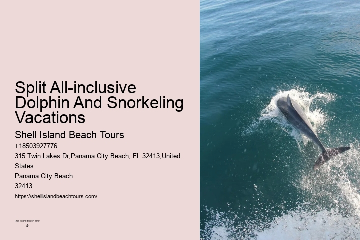 Split Vip Snorkeling And Dolphin Tours