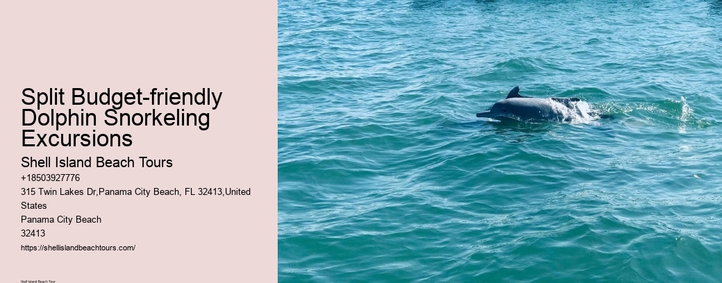 Split Budget-friendly Dolphin Snorkeling Excursions