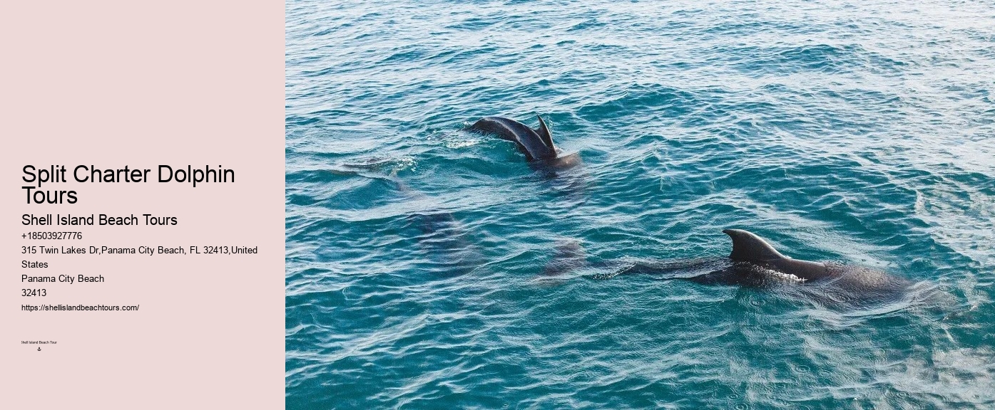 How Long Does The Dolphin Cruise Last