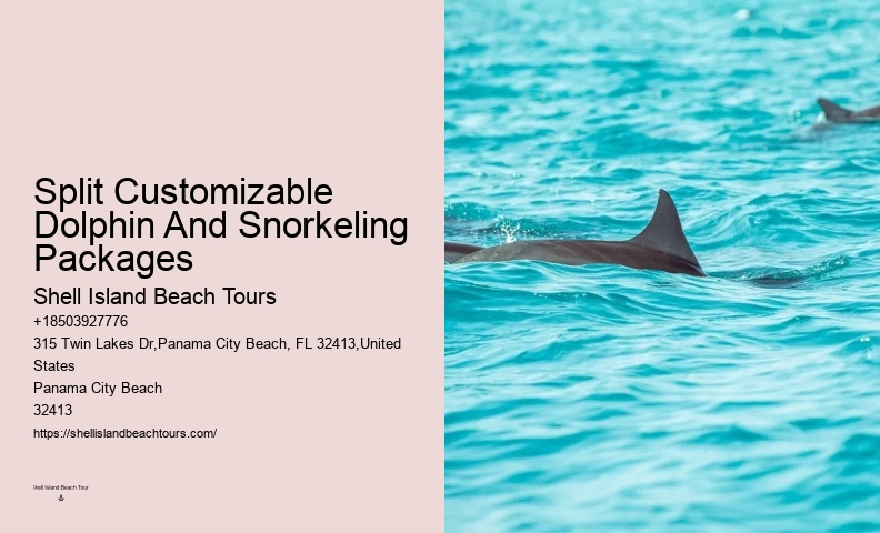 Dolphins And Snorkeling