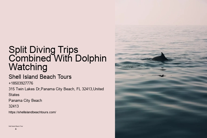 Split Intimate Dolphin And Snorkeling Adventures