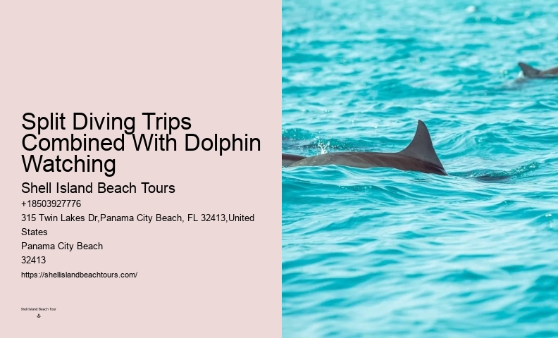 Panama City Beach Dolphin And Snorkel Tours