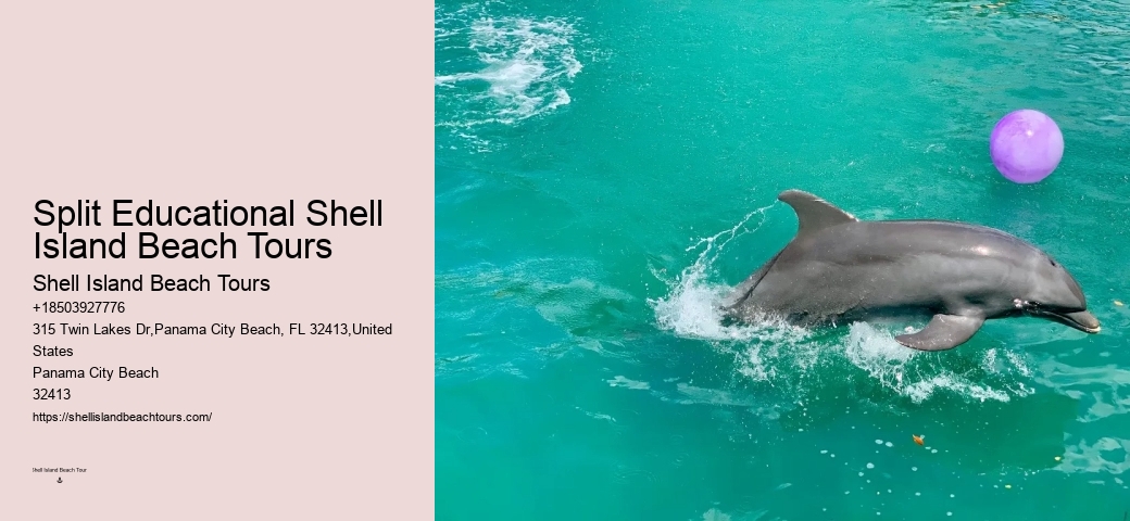 Marine Mammals